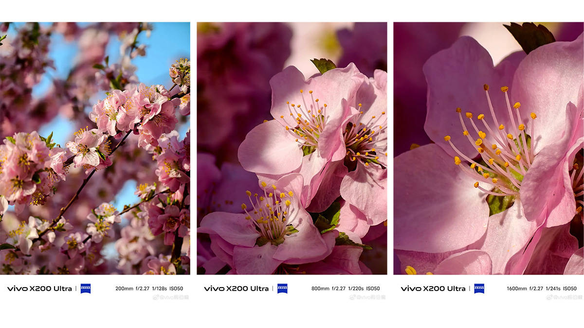 Vivo X200 Ultra Bisa Dipasangi Lensa Tele Zeiss, Begini Hasil Jepretannya