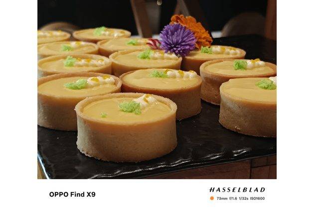 Memotret dengan Oppo Find X9, Begini Hasilnya