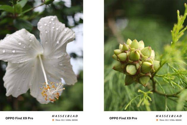 Review Oppo Find X9 Pro: Unggul di Semua Lini
