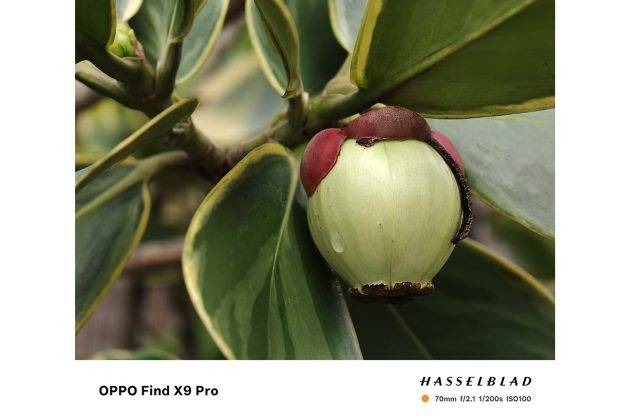 Review Oppo Find X9 Pro: Unggul di Semua Lini