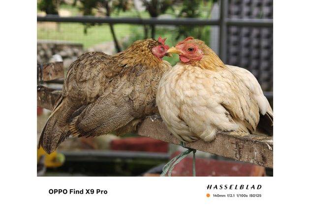 Review Oppo Find X9 Pro: Unggul di Semua Lini