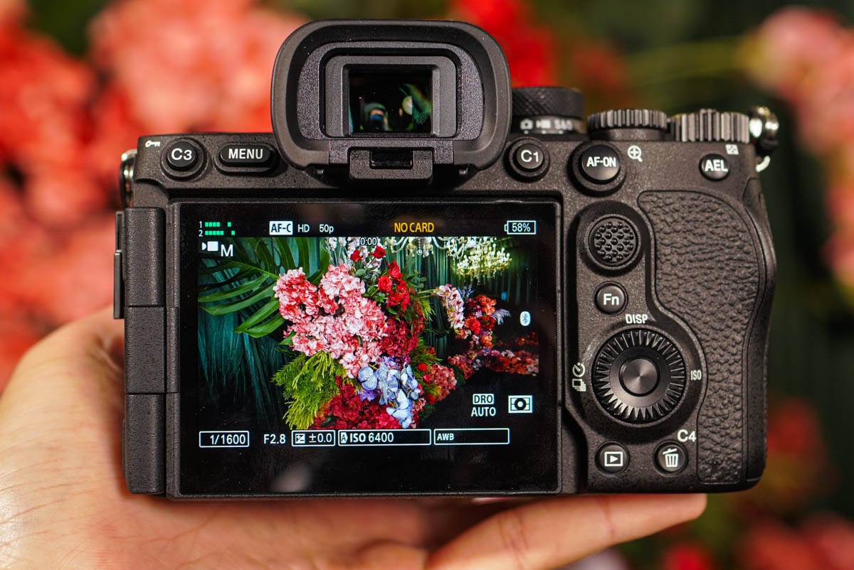 Memotret Dengan Kamera Mirrorless Full-frame Sony A7 Mark IV, Begini Hasil Jepretannya