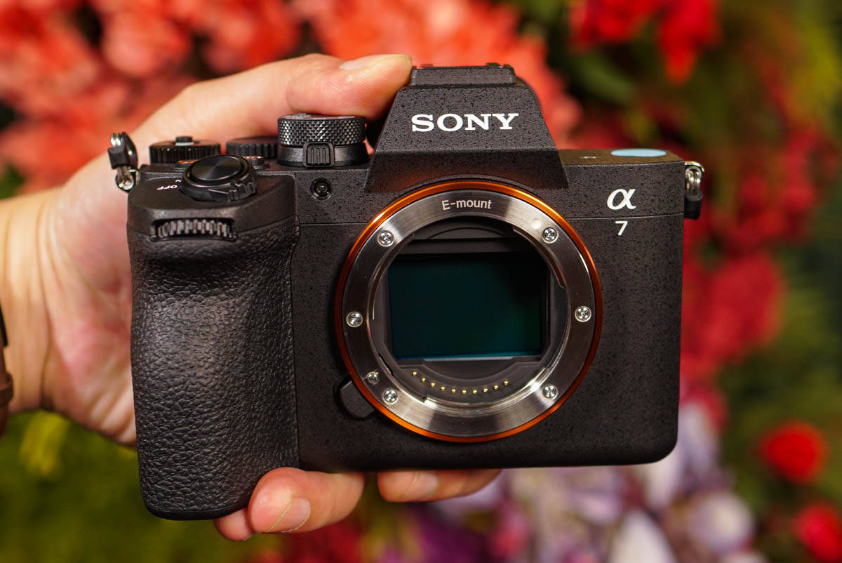 Memotret Dengan Kamera Mirrorless Full-frame Sony A7 Mark IV, Begini Hasil Jepretannya