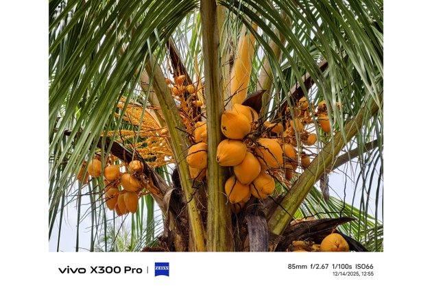 Review Vivo X300 Pro: Kembalinya Sang Raja Kamera