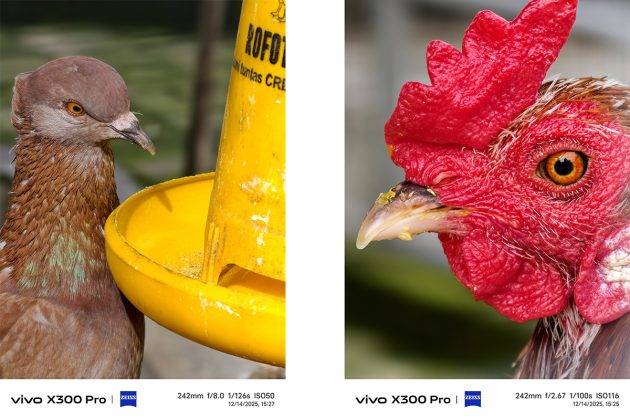 Review Vivo X300 Pro: Kembalinya Sang Raja Kamera