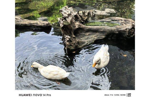 Begini Hasil Foto Huawei Nova 14 Pro, HP Berkamera Selfie Ganda