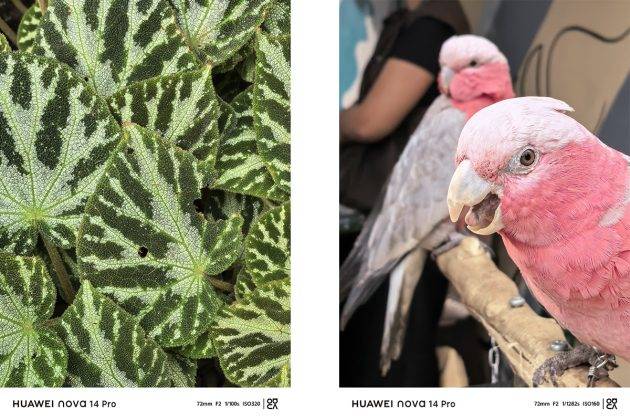 Begini Hasil Foto Huawei Nova 14 Pro, HP Berkamera Selfie Ganda
