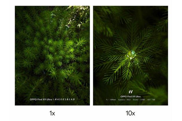 Oppo Pamer Hasil Jepretan Kamera Zoom 10x Find X9 Ultra, Sebagus Apa?