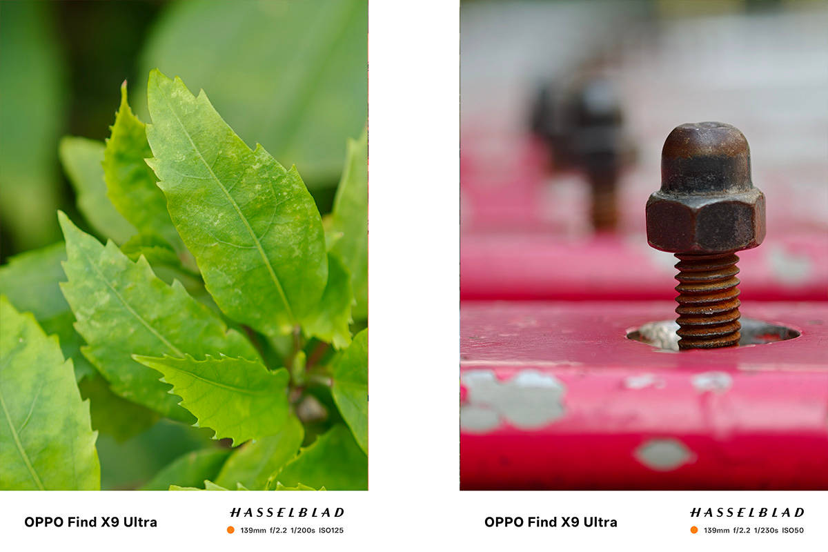 Memotret dengan Oppo Find X9 Ultra, Sebagus Apa Hasil Fotonya?