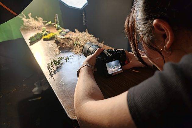Sony Gelar Aplha Festival 2026, Ada Photowalk hingga Shooting "Wildlife" Indoor