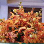 सैमसंग गैलेक्सी नोट9 हिंदी रिव्यू