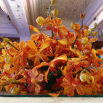 सैमसंग गैलेक्सी नोट9 हिंदी रिव्यू