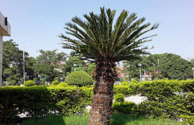 सैमसंग गैलेक्सी जे2 कोर प्राइस स्पेसिफिकेशन और फीचर्स