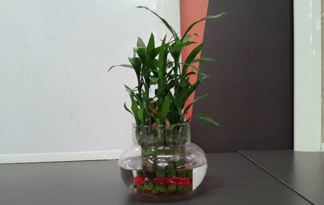 सैमसंग गैलेक्सी जे2 कोर प्राइस स्पेसिफिकेशन और फीचर्स