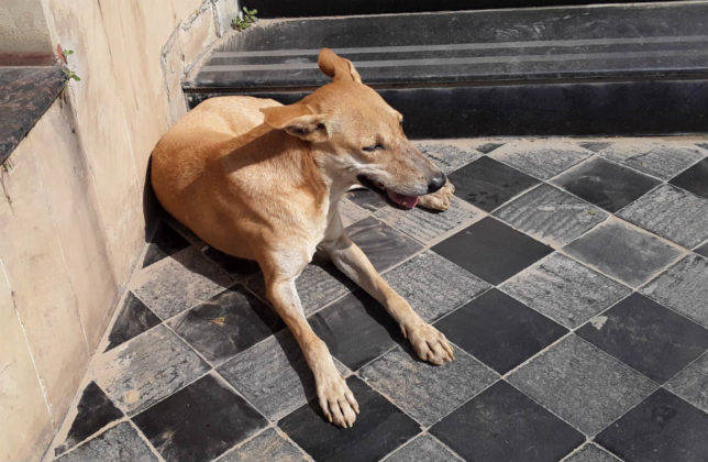 सैमसंग गैलेक्सी जे2 कोर प्राइस स्पेसिफिकेशन और फीचर्स