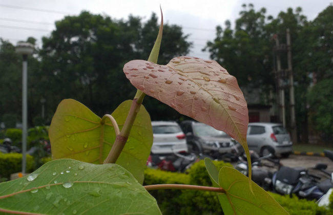 सैमसंग गैलेक्सी जे6 प्लस का प्राइस स्पेसिफिकेशन और फीचर्स हिंदी में