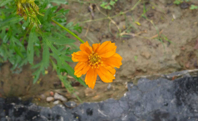 सैमसंग गैलेक्सी जे6 प्लस का प्राइस स्पेसिफिकेशन और फीचर्स हिंदी में