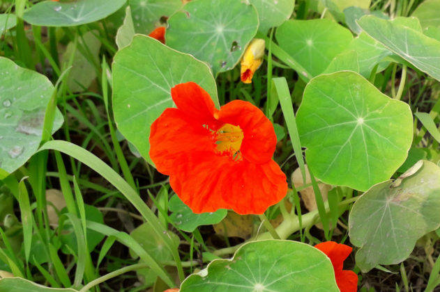 samsung-galaxy-m10-review-in-hindi