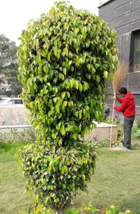 samsung-galaxy-m10-review-in-hindi