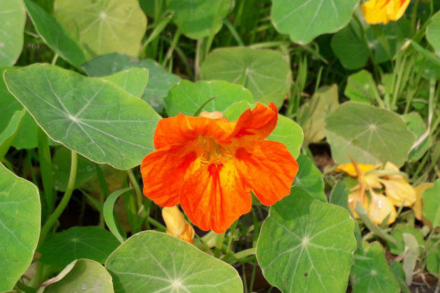 samsung-galaxy-m10-review-in-hindi