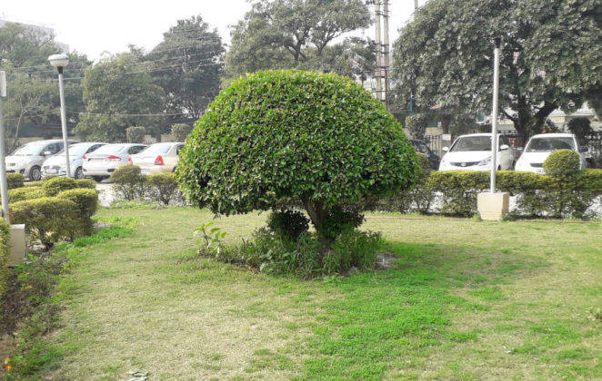 samsung-galaxy-m10-review-in-hindi