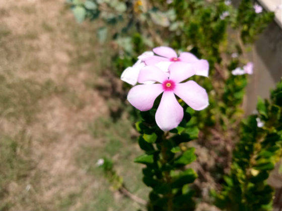 nokia 2.2 review in hindi