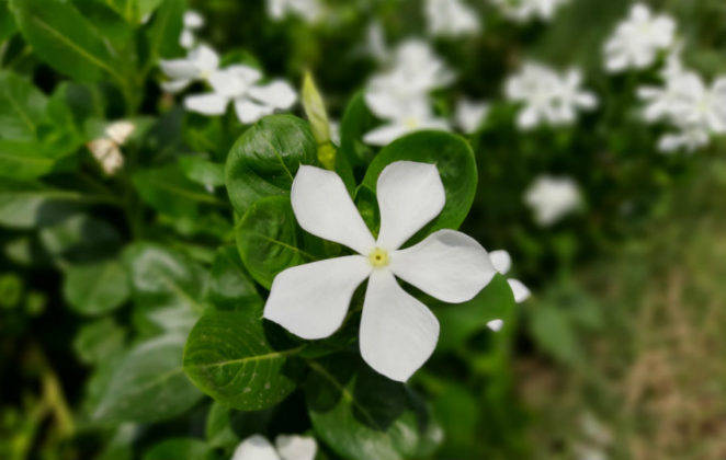 samsung-galaxy-m30s-review-in-hindi