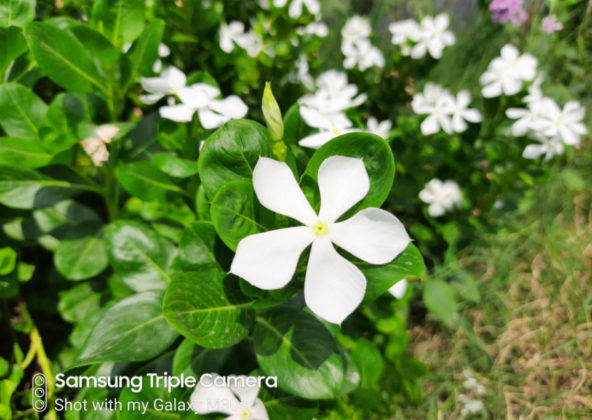 samsung-galaxy-m30s-review-in-hindi