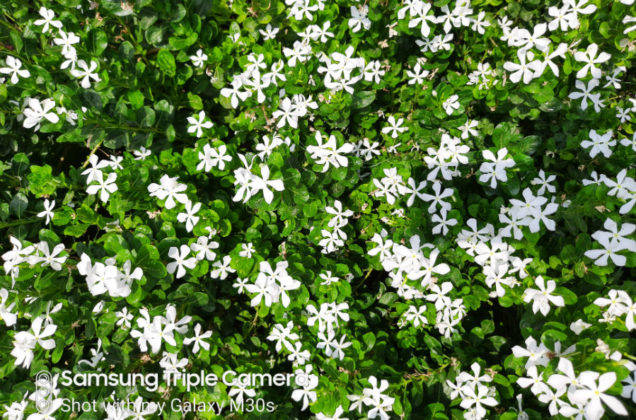 samsung-galaxy-m30s-review-in-hindi