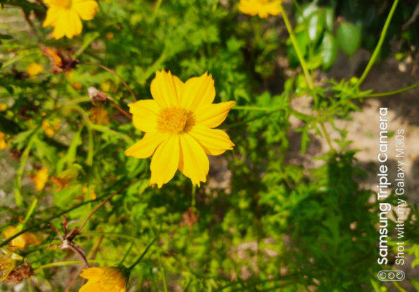 samsung-galaxy-m30s-review-in-hindi