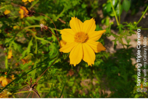 samsung-galaxy-m30s-review-in-hindi