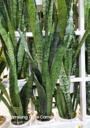 samsung-galaxy-m30s-review-in-hindi