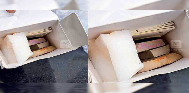 केरल के शख्स ने Flipkart से मंगाया था 27,500 रुपये का कैमरा, बॉक्स में निकली ईंट kerala kannur man orders camera worth 27500 rupees flipkart delivered tiles brick