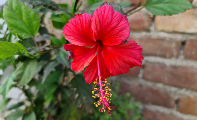 samsung-galaxy-s20-ultra-review-in-hindi