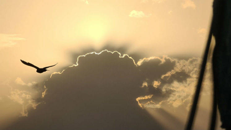 samsung-galaxy-s20-ultra-review-in-hindi