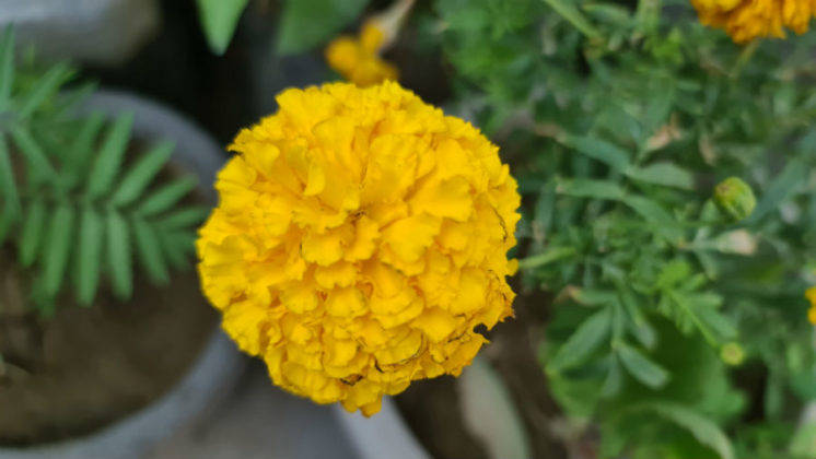 samsung-galaxy-s20-ultra-review-in-hindi