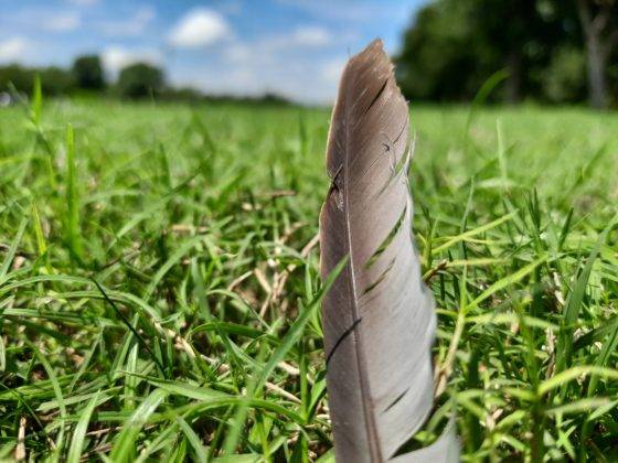 samsung-galaxy-m31s-review-in-hindi