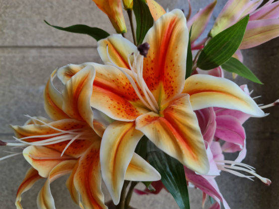 samsung-galaxy-note-20-ultra-5g-review-in-hindi