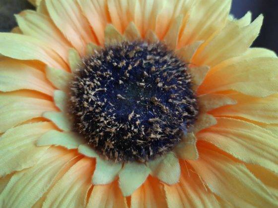 samsung-galaxy-f41-review-in-hindi