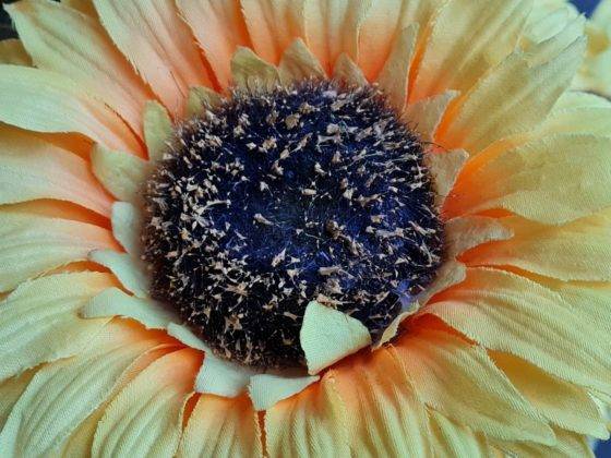 samsung-galaxy-s20-fe-review-in-hindi