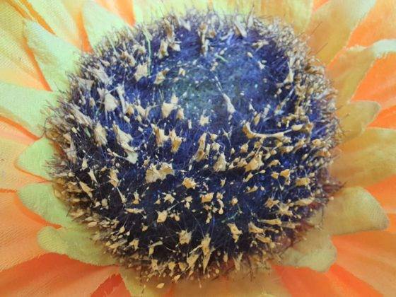 samsung-galaxy-f62-review-in-hindi