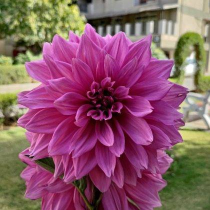 asus-rog-phone-5-review-in-hindi