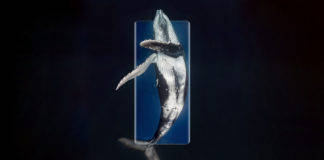 iQOO 8 सीरीज़ दमदार स्पेसिफिकेशन्स के साथ इस दिन होंगे लॉन्च, जानें क्या हैं खूबियां iQOO 8