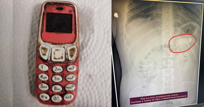 https://static.hub.91mobiles.com/multisite/wp-content/uploads/sites/7/2021/09/Nokia-3310-Swallow.jpg