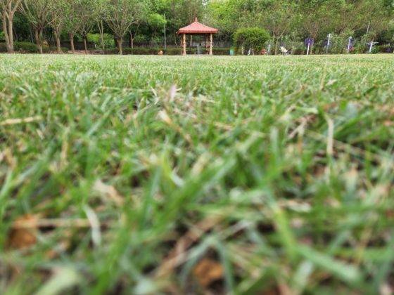 samsung-galaxy-s22-and-s22-plus-review-in-hindi