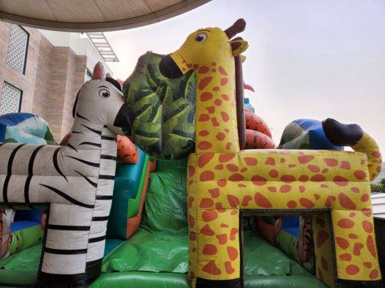 samsung-galaxy-s22-and-s22-plus-review-in-hindi