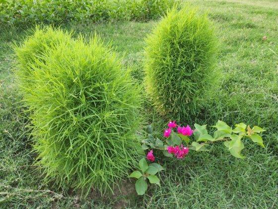 samsung-galaxy-s22-and-s22-plus-review-in-hindi