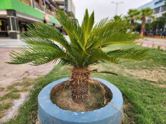 samsung-galaxy-s22-and-s22-plus-review-in-hindi