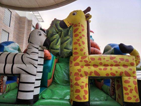 samsung-galaxy-s22-and-s22-plus-review-in-hindi