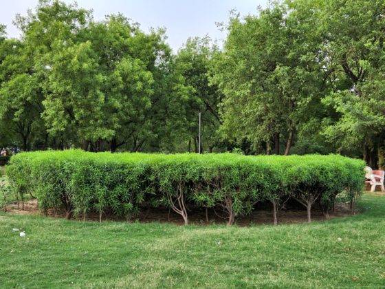 samsung-galaxy-s22-and-s22-plus-review-in-hindi